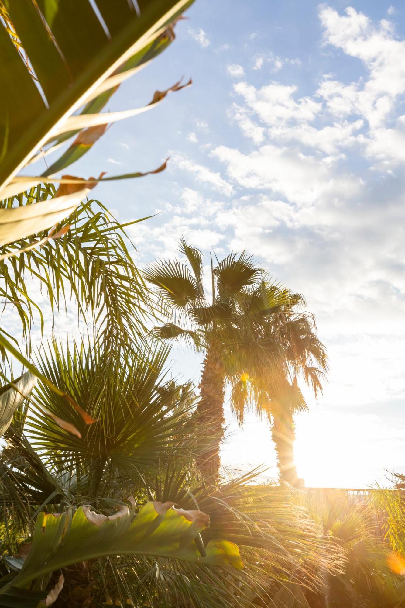 Albades Hotel & Spa (Adults Only) Benicàssim Dış mekan fotoğraf
